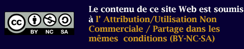 Attribution-Pas d'utilisation commerciale-Partage dans les mêmes conditions 4.0 International (CC BY-NC-SA 4.0)